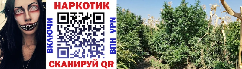 Что такое Советск A-PVP  Метадон  Кокаин  Мефедрон 