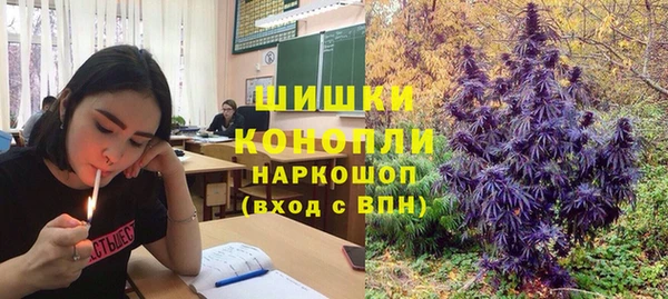 марки lsd Заводоуковск