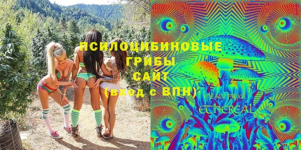 дурь Аркадак